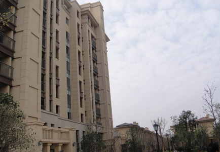 1604024492125712.jpg new_06.jpg