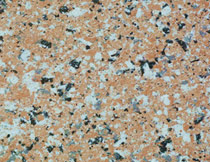 仿花(hua)崗岩塗料